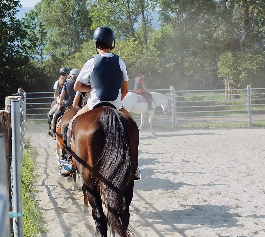 Classes d'equitació